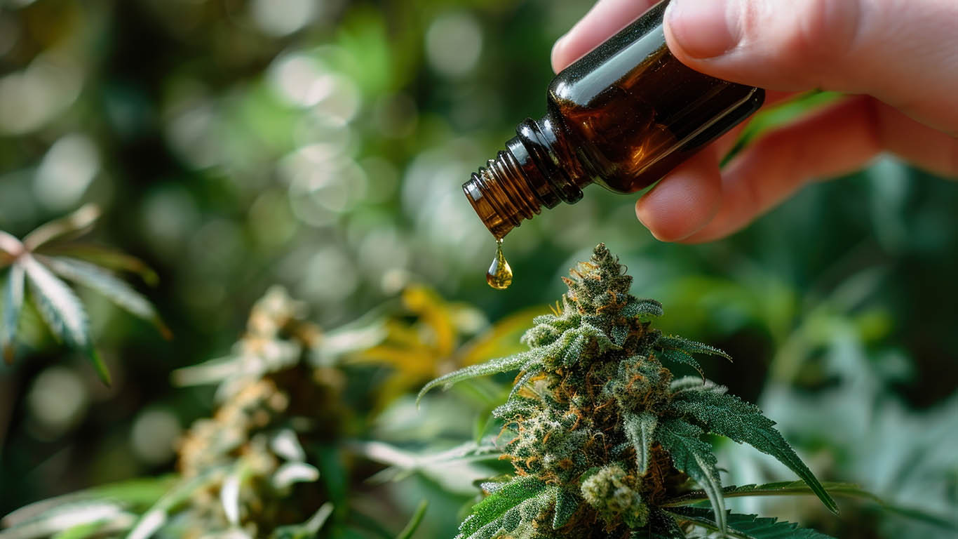 GLOBAL SMPL Sustainability