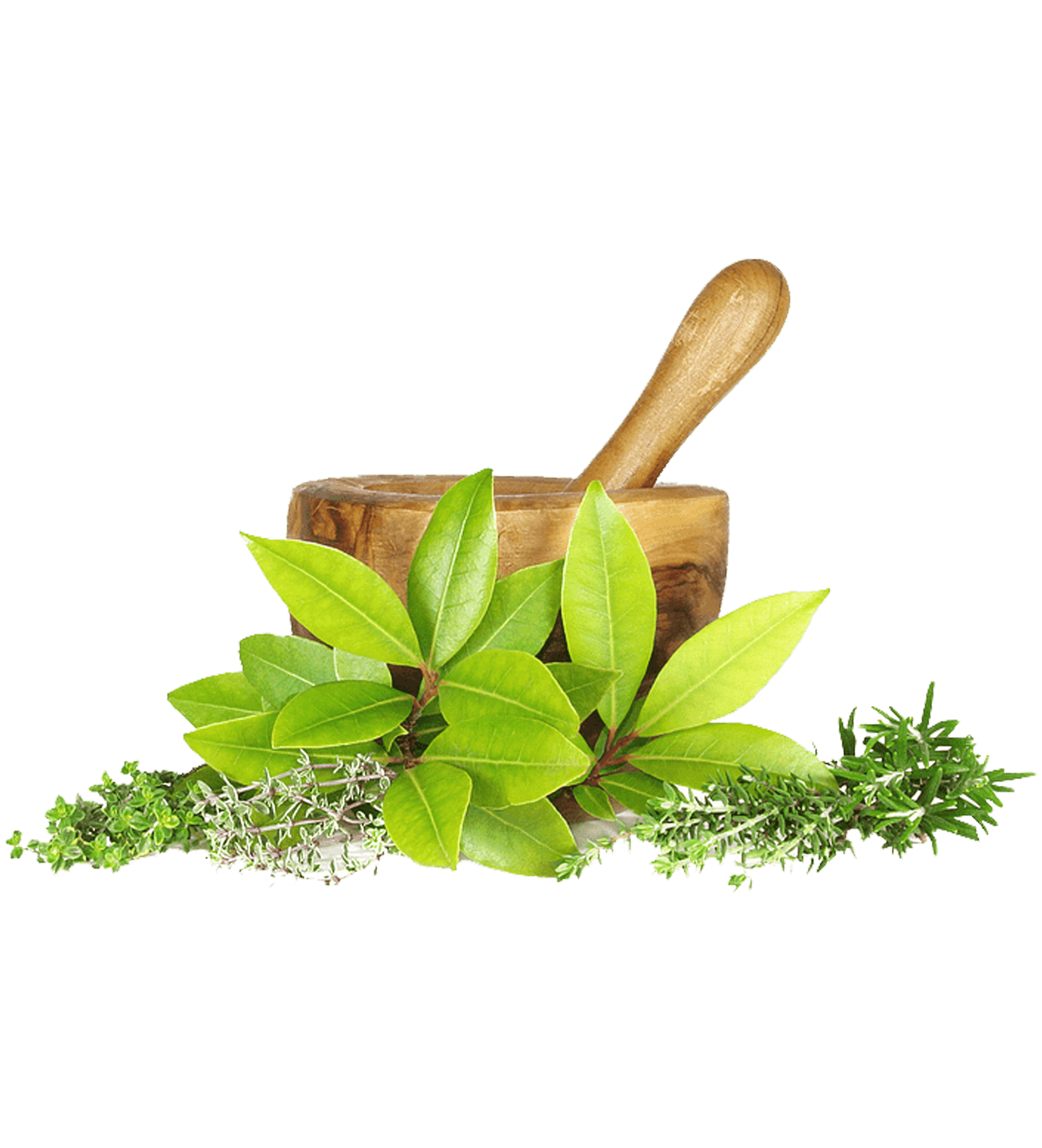 Orbits Bro Supplements